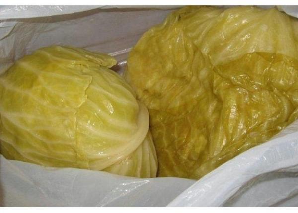 medicul nutritionist mihaela bilic explica ii despre beneficiile consumului de varza murata