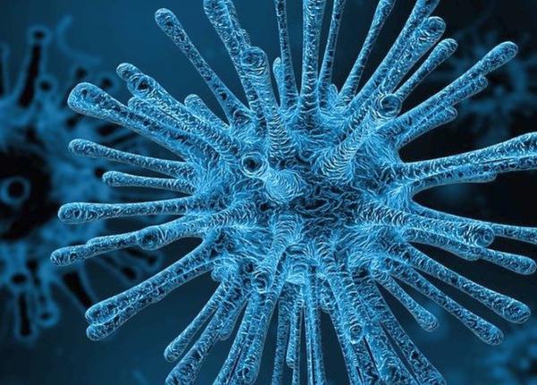 coronavirus sapte detinuti izolati si sub control medical