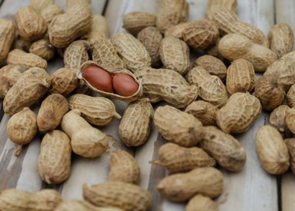 alergia la arahide asociata cu unele dereglari ale microbiomului intestinal