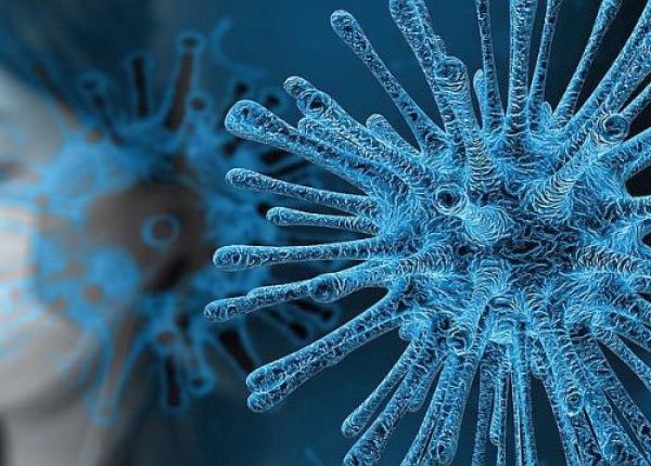 coronavirus situa ia din malaezia brazilia i niger