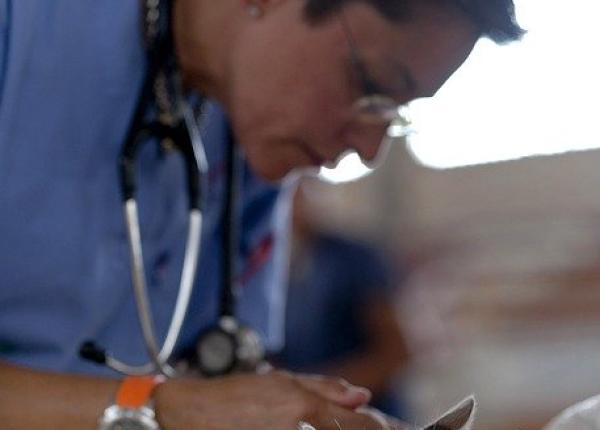 aparate de ventila ie de la animale donate pentru combaterea covid 19