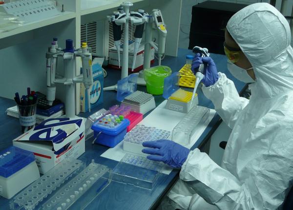 florina raicu cercetator genetician putem face fiecare mamximum 144 de teste pe zi