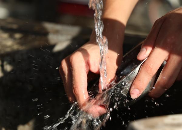 detergentul de vase dezinfectant mai bun decat clorul opinia unui medic toxicolog