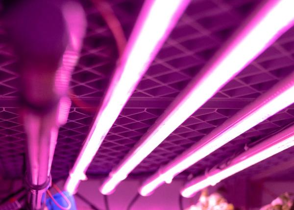 coronavirus cat de eficienta este lumina ultraviolet pentru decontaminare studii