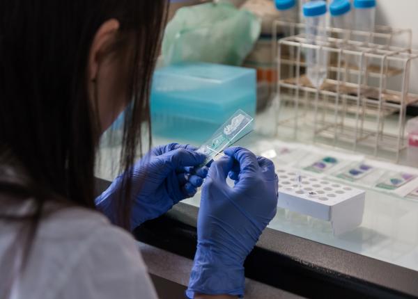 nelu tataru deceda ii de covid 19 chiar daca aveau comorbidita i le aveau de ani de zile coronavirusul le a agravat