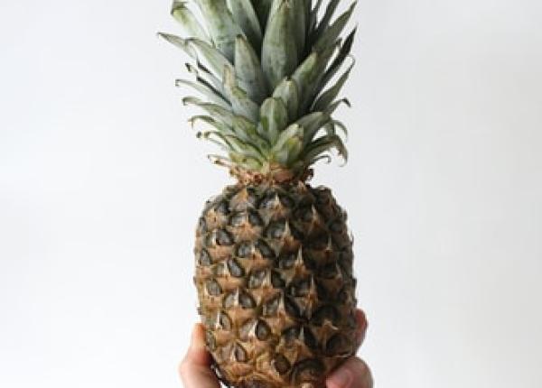 alergii cinci surse naturale de antihistaminice