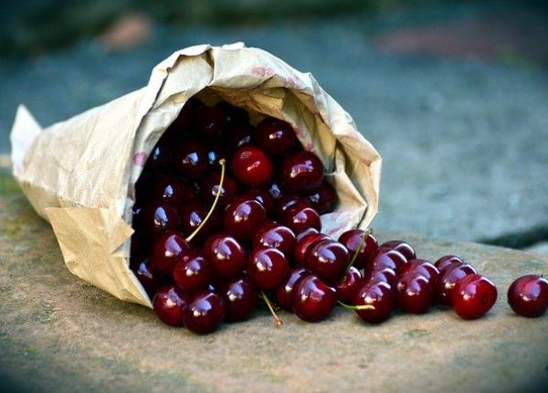 cire ele amare vedetele verii beneficii nebanuite pentru sanatate