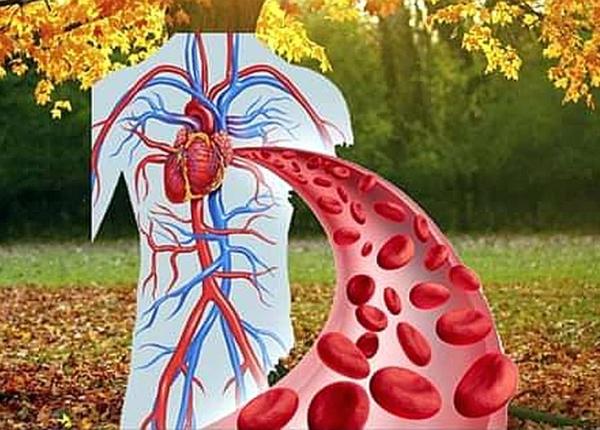 ce efecte au bauturile carbogazoase asupra vaselor de sange