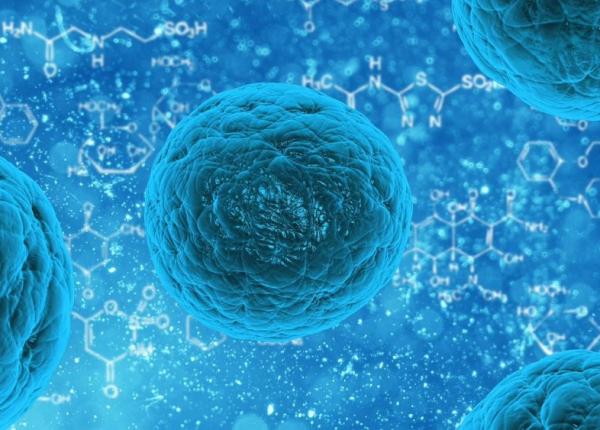 celule canceroase metoda prin care pot fi distruse are legatura cu zaharul