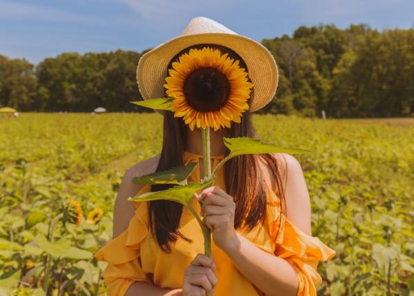 semin ele se floarea soarelui ce se intampla atunci in organism daca le mananci