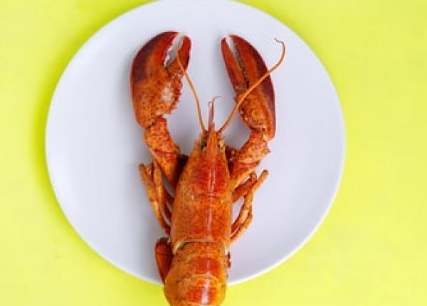 guta alimentele care i i pun articula iile in pericol