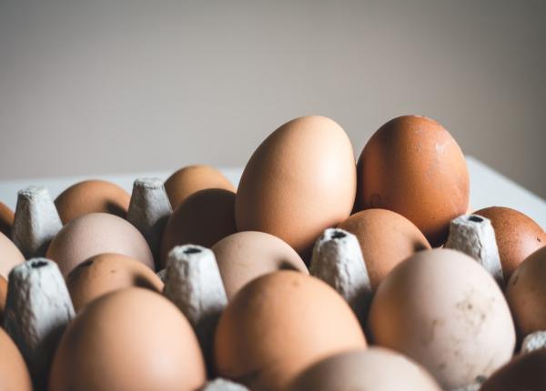 alerta salmonella un lan de supermarketuri apel la clien i pentru returnarea oualor infectate