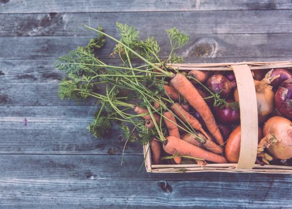 declin cognitiv alimentele care incetinesc imbatranirea creierului