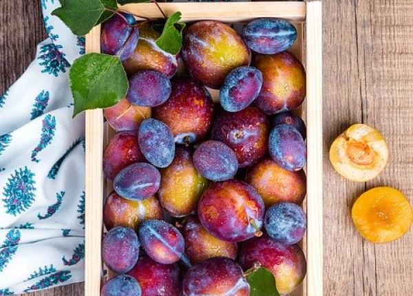 constipa ie alimentele care regleaza digestia