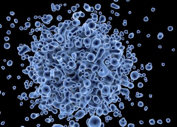 ceulele canceroase metastatice supravie uire in mediul ostil ce rol are fierul