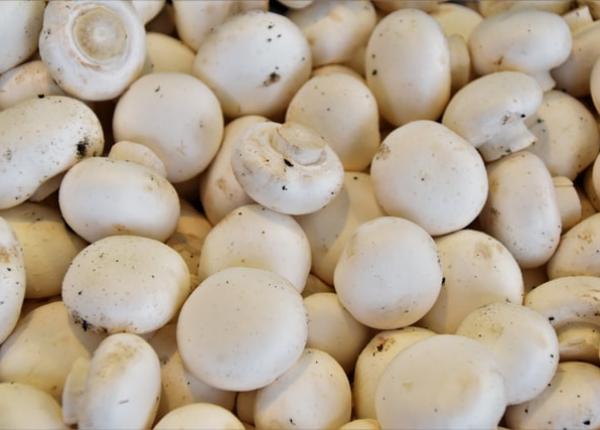 alergia la ciuperci cum recuno ti simptomele