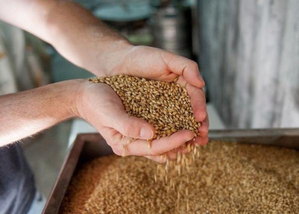 orzul bolile fatale de care te fere te