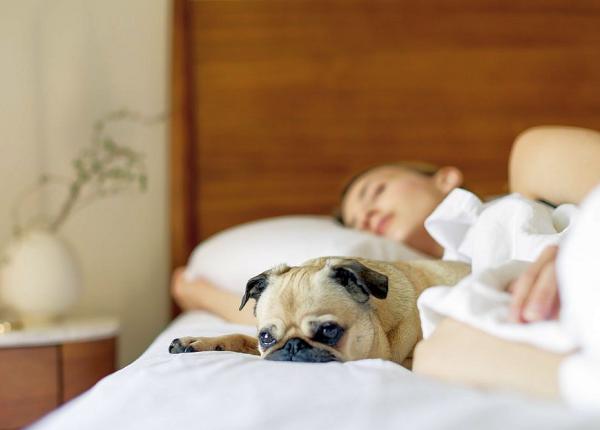 somn pu in i odihnitor muta ia genetica rara pe care o au pu ini oameni