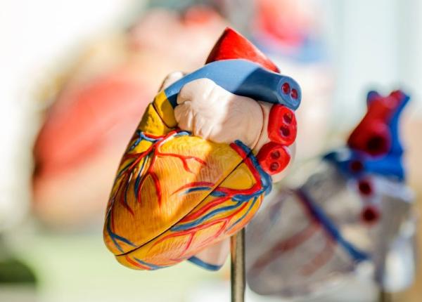 infectiile cardiace cum le distingi de un infarct i ce simptome au