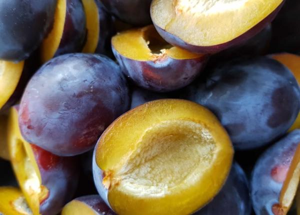 prunele efect benefic in preven ia unui anumit tip de cancer