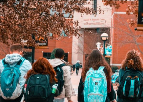 cum se face coala acolo unde profesorii au covid