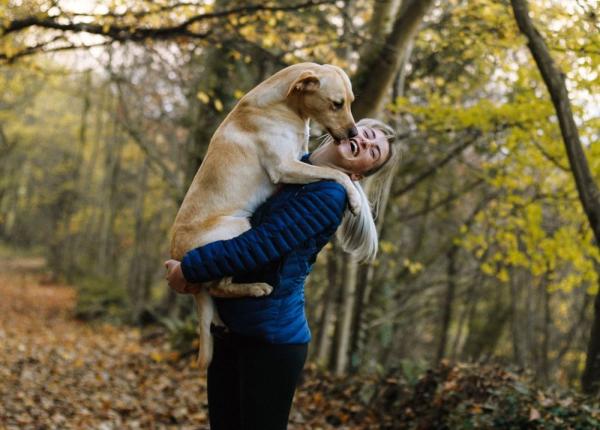 covid 19 persoanele bolnave i i pot infecta animalele de companie