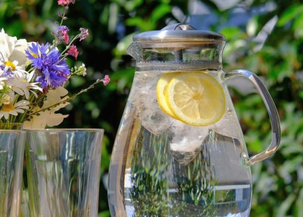 dieta cea mai simpla trucul incredibil dezvaluit de mihaela bilic