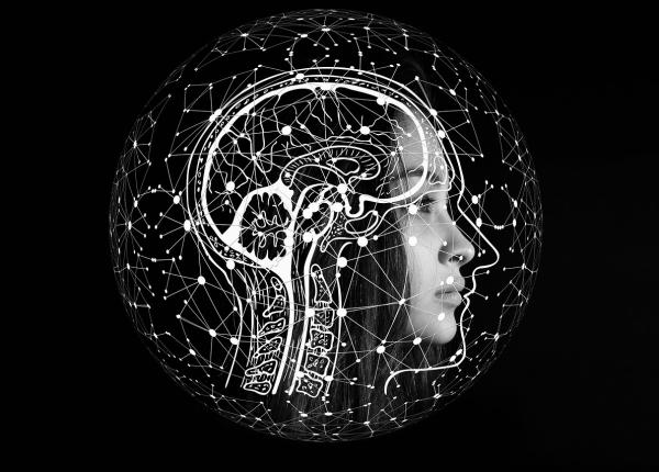 sistemul imunitar nu doar preven ie ci i sanatatea mentala sistemul imunitar nu doar preven ie ci i sanatatea mentala