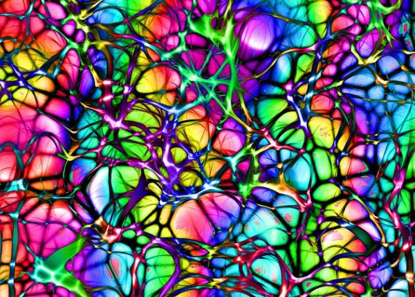 solu ie 3d pentru repararea leziunilor nervilor