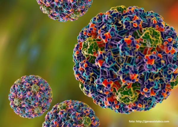 vaccin nou care protejeaza de hpv i cancer de col uterin