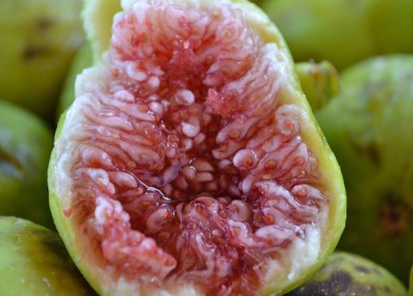 dr mihaela bilic fructul exotic cu efect laxativ bun la dieta