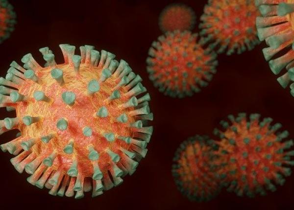 focar de coronavirus la echipa masculina de volei 11 jucatori infectati