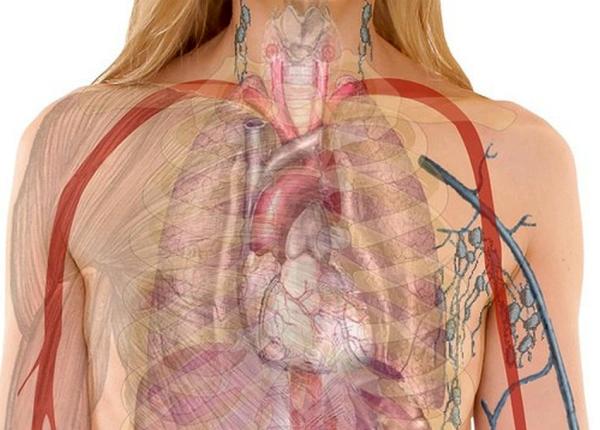 ziua mondiala a bronhopneumopatiei obstructive cronice specialisti in scurt tip va deveni a treia cauza de deces in lume