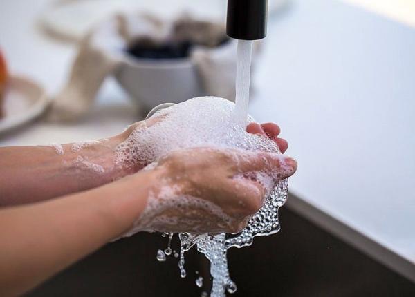 triclosan aditivul antimicrobian din sapun agraveaza boala ficatului gras non alcoolic studiu