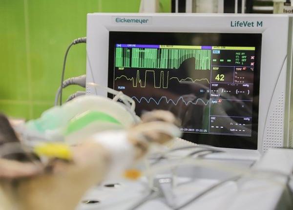 detalii socante in cazul femeii decedate dupa ce a fost deconectata de la aparate din greseala