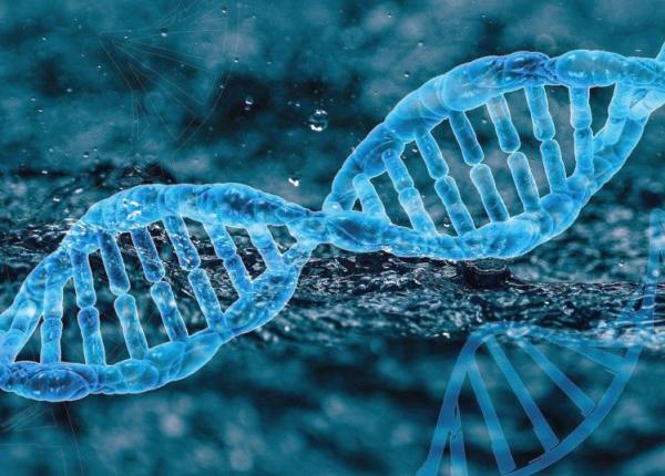 gena vinovata de producerea mai multor tipuri de cancer care incep in celulele epiteliale identificata