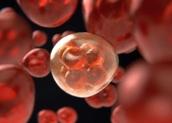 proteina a carei mutatie e asociata cu schizofrenia legatura cu colesterolul