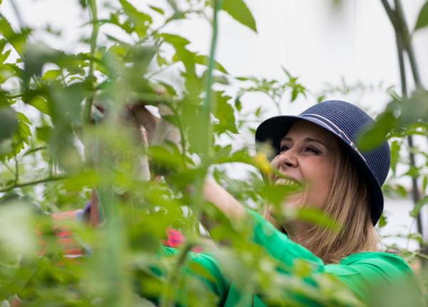 dr mihaela bilic de ce te ai chinui sa mananci asa ceva daca ai friptura