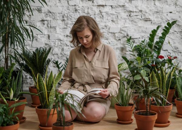 5 plante salbatice care te pot ucide si 5 care iti pot salva viata