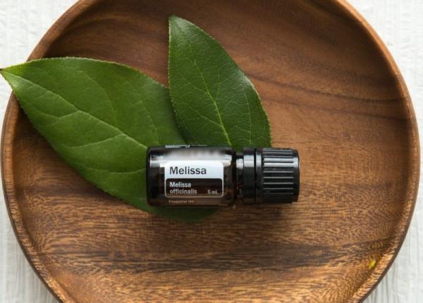 uleiul de roinita melissa 6 efecte benefice dovedite de studii in ce boli functioneaza