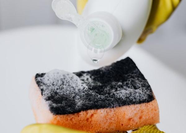 cel mai periculos obiect din casa folosit zilnic este infestat cu bacterii