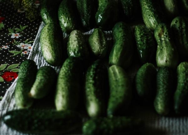 castravetele 10 beneficii surprinzatoare ajuta la slabit si imbunatateste vederea