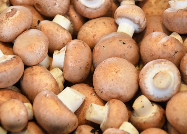 ciuperci port ia corecta pentru a nu te ingrasa medic concentrat ie maxima de vitamine b