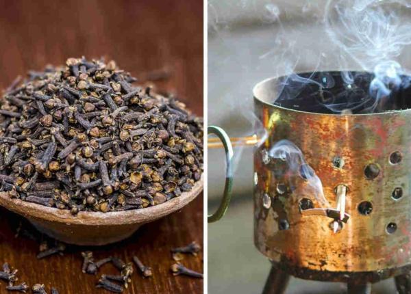 cuisoare isop si dafin 3 ingrediente cu puteri incredibile