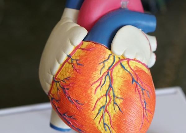 sedentarisul in contextul pandemiei cum ne afecteaza si care sunt suplimentele alimentare naturale care ne ajuta