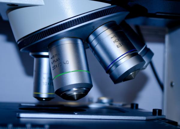 descoperire promitatoare doi compusi care inhiba replicarea noului coronavirus