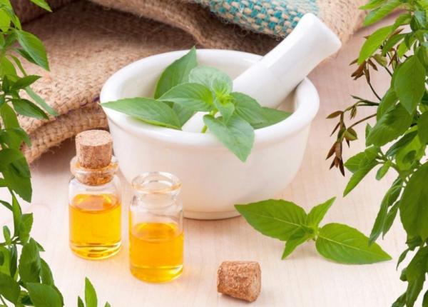 7 plante care iti cresc imunitatea ce sa consumi cat poti de des