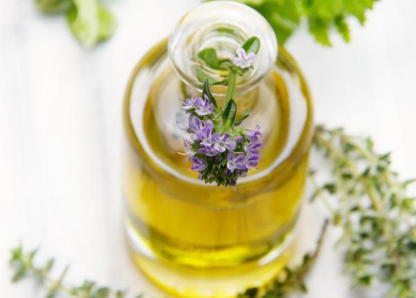 esenta de cimbru un adevarat antibiotic natural face minuni pentru organism esenta de cimbru un adevarat antibiotic natural face minuni pentru organism