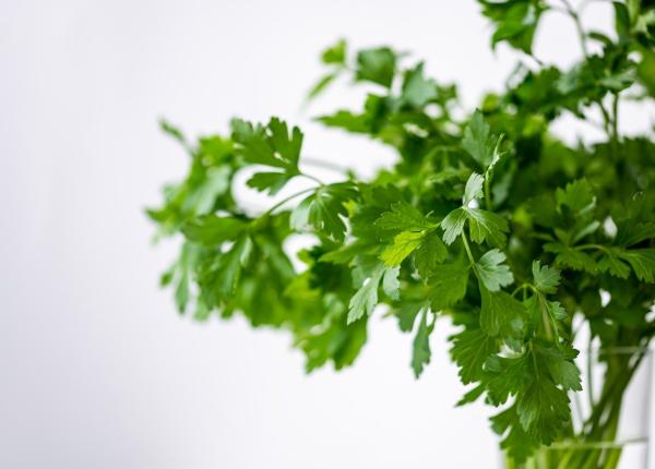 de ce sa consumi patrunjel zilnic 20 de beneficii pe care femeile trebuie sa le stie