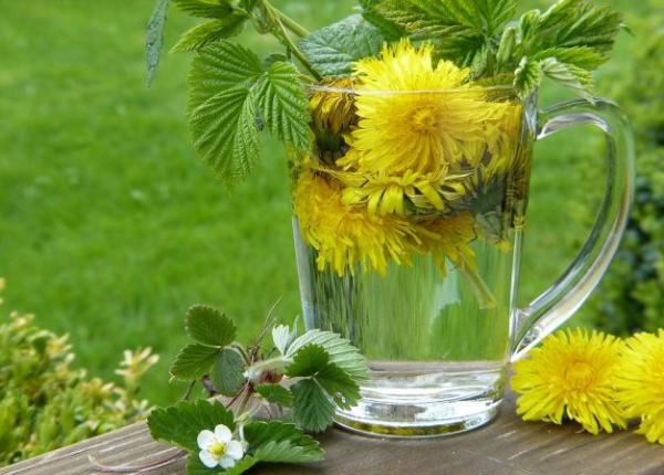 4 ceaiuri de plante care vindeca infectiile urinare